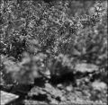 nega120_0004_005.jpg