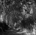 nega120_0014_008.jpg