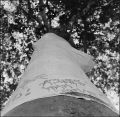 nega120_0014_012.jpg