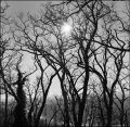 nega120_0024_005.jpg