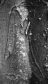 Nom du fichier=scarifiarbre010_-_Copie.jpg
Taille du fichier=346Ko
Dimensions : 455x800
Ajouté le : 11 Avril 2012 scarifiarbre010_-_Copie.jpg