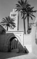 img01_(84).jpg