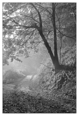 BD_noir_et_blanc_(41).jpg