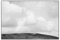 BD_noir_et_blanc_(76).jpg