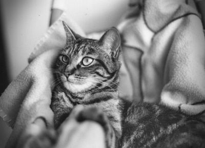 chouquette :o)
retouche
OM20 50mm & lford Delta 100
