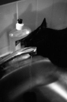 img064.jpg