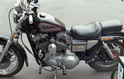 img453.jpg