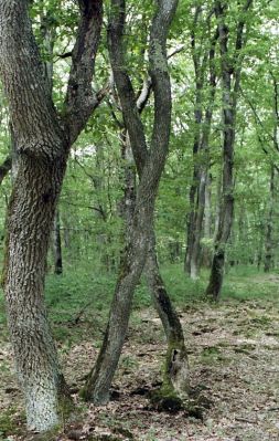 img476.jpg
