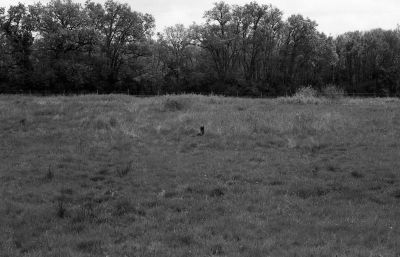 scan014~0.jpg