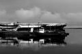 ILFORD_DELTA_100_ILFOSOL_IRLANDE__0025.jpg