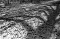 TX_400__0019s.jpg