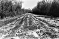 TX_400__0024.jpg