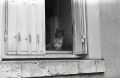 img014.jpg