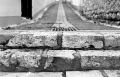 img016-2.jpg