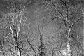 img122.jpg