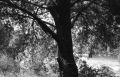 img620b.jpg