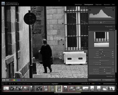 Capture11.jpg