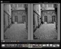 Capture12.jpg