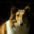 IMG008v.jpg