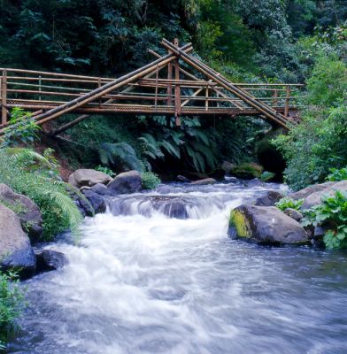 pont1
