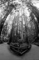 San-Francisco-108.jpg