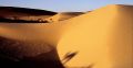 accent-p3___22___dunes_dromadaires_et_couchant.jpg