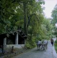 dayutang-8.jpg