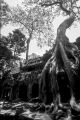 siem-reap-NB-110.jpg
