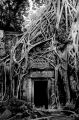 siem-reap-NB-32.jpg