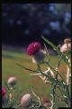 08_Velvia50_03.jpg
