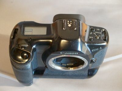 P7150131_4_4.jpg