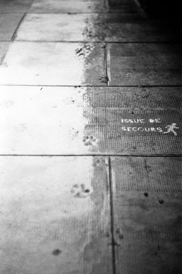 Contax IIa - Carl Zeiss Sonnar 50mm f/1,5 - Ilford HP5+ & LC29
