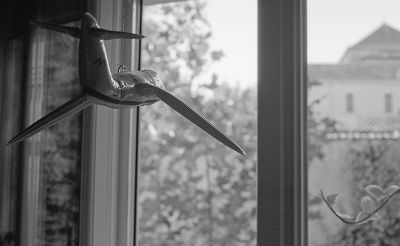 Appareil: Yashica Electro 35 GTN
Ilford FP4+ & Xtol
