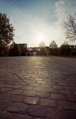 Contax IIa - Carl Zeiss Biogon 21mm f/4,5 - Fuji Superia
