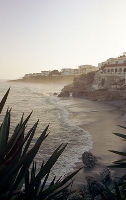 Contax Aria - Yashica ML 28mm f/2,8 - Kodak Ektar 100 
