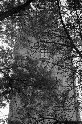 Contax IIa - Carl Zeiss Sonnar 50mm f/1,5 - Fuji Neopan 1600 & Studional

