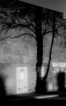 sombrarbre750.jpg
