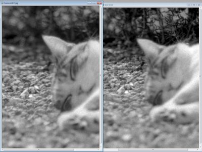 sonnarvs pentax
