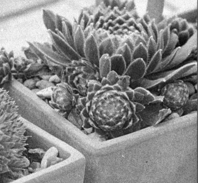 HP5
