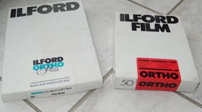 ortho

