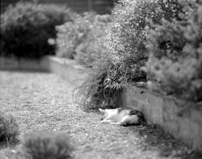 165mm Pentax
