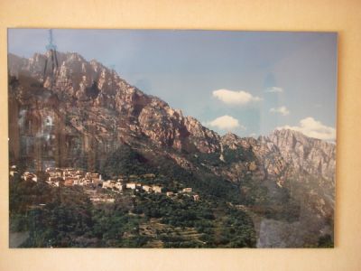 Poster 50x75cm
