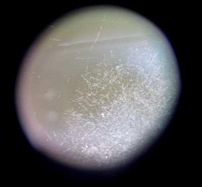 jupiter 12
