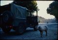 FJ43.JPG