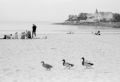 Nom du fichier=a_la_plage.jpg
Taille du fichier=80Ko
Dimensions : 800x550
Ajouté le : 25 Novembre 2015 a_la_plage.jpg
