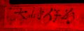 caracteres_Red.JPG