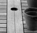 détail_grain.jpg