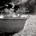 img012.jpg