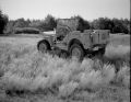 jeep005.jpg