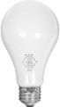 lampe.jpg